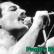 freddie mercury paddy power2